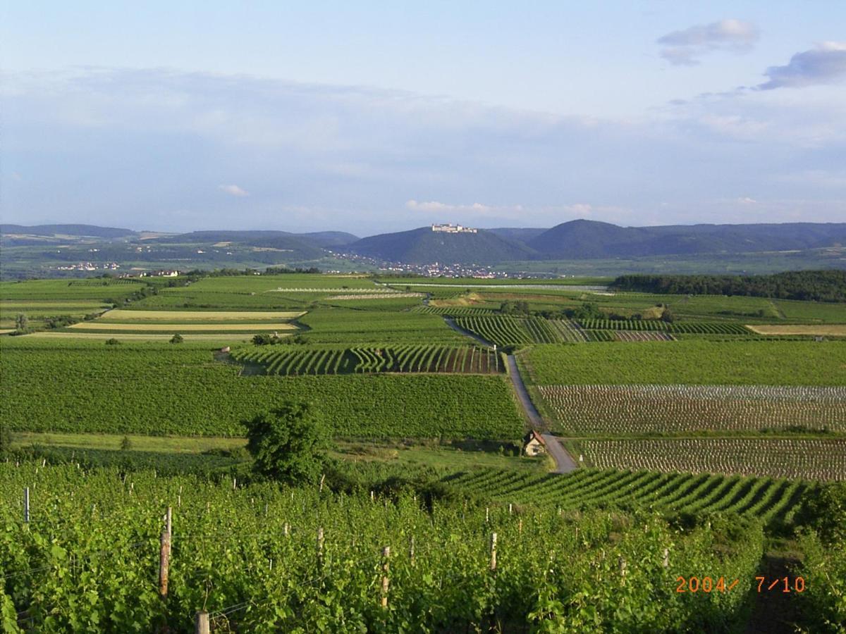 Asbacher Klosterkeller Stratzing Экстерьер фото